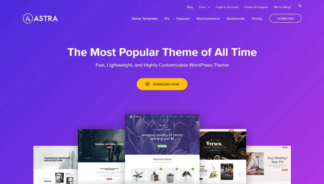 Astra Theme - The Most Popular Theme of All Time